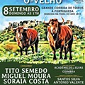 080919 - montemor o velho.jpg